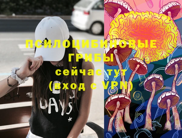 дурь Липки