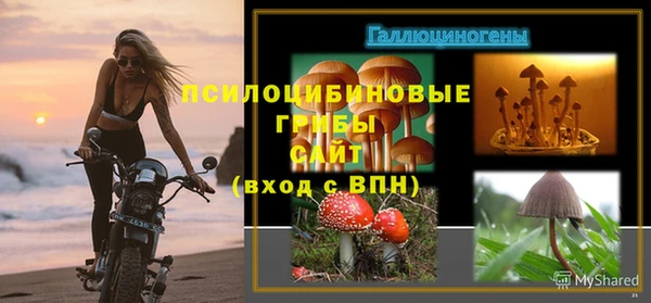 стаф Лихославль