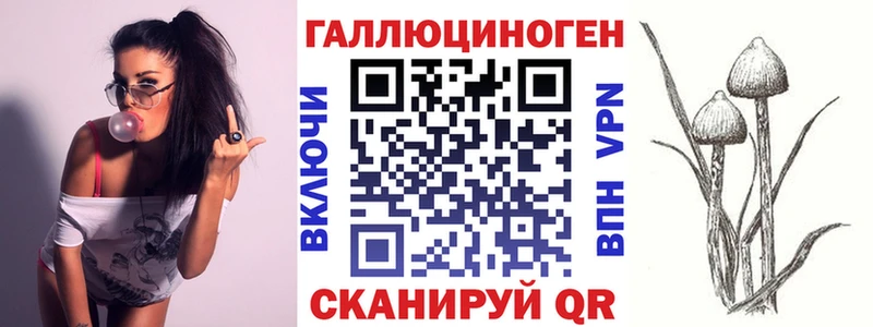 кракен как зайти  продажа наркотиков  Пойковский  Галлюциногенные грибы мицелий 
